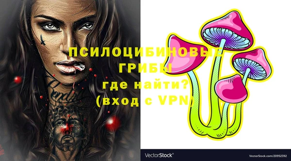стаф Абдулино