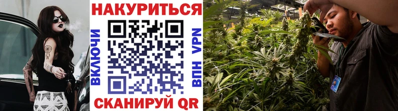 Каннабис семена  Чкаловск 